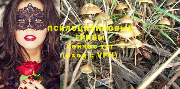 гидропоника Бородино