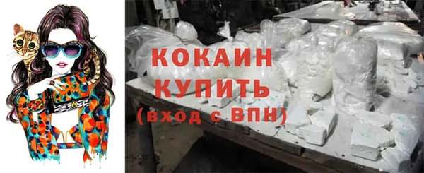 гидропоника Бородино