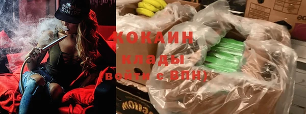 mix Богородицк